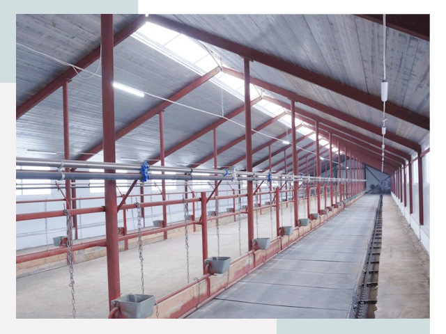 Строительство коровников в Вятских Полянах от 609 руб.