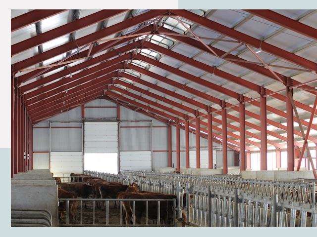 Строительство коровников в Вятских Полянах