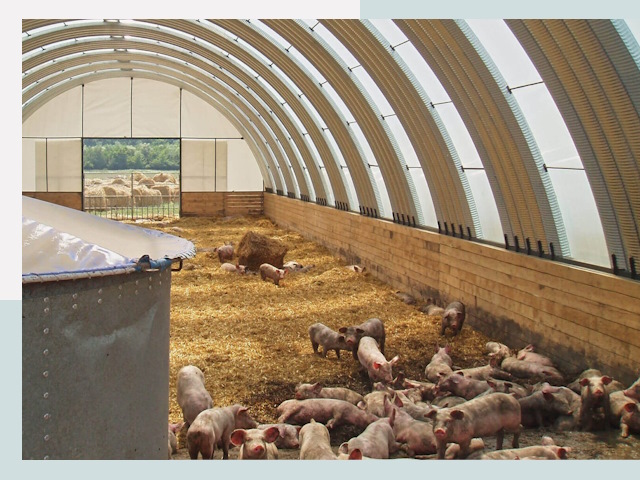 Строительство свинарников в Вятских Полянах