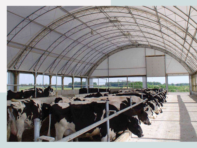 Тентовые коровники в Вятских Полянах